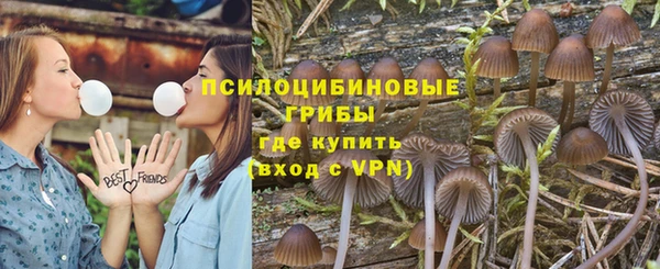 дживик Волоколамск