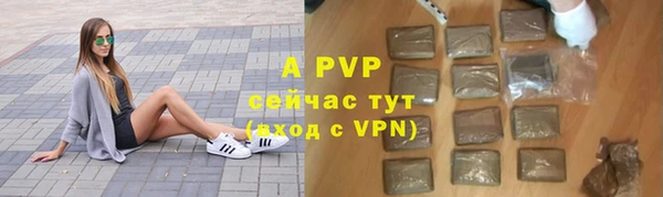 прущие грибы Володарск