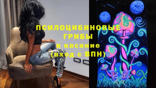 прущие грибы Володарск