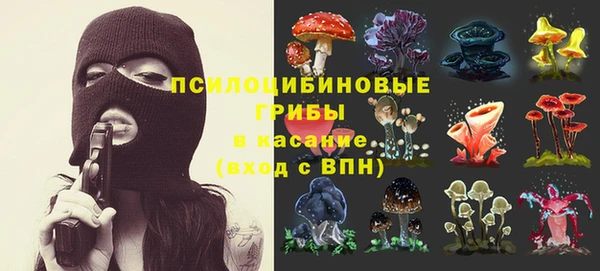 прущие грибы Володарск
