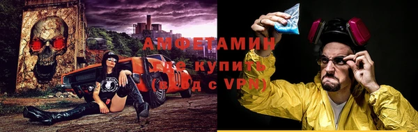 прущие грибы Володарск