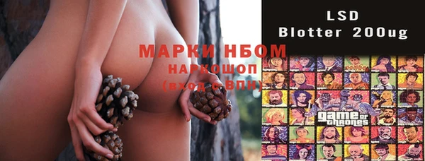 прущие грибы Володарск