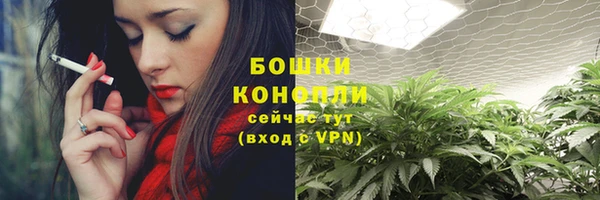 прущие грибы Володарск
