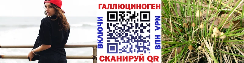 Псилоцибиновые грибы Magic Shrooms  Волгодонск 